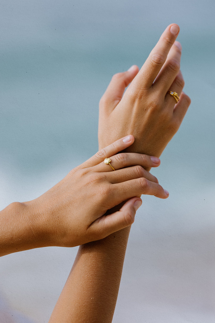 Scallop Shell Ring