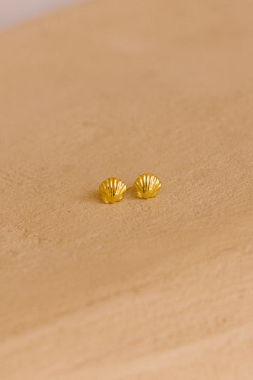 Scallop Shell Stud Earrings