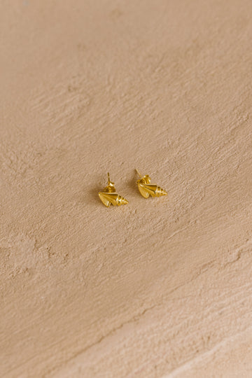 Miter Shell Stud Earrings